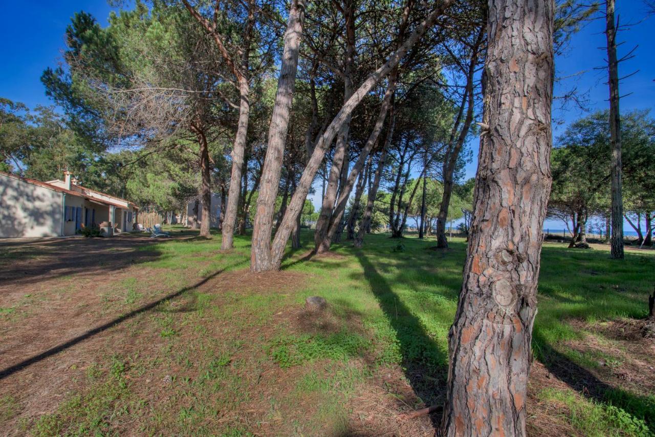 Maisons Bord De Mer- Marine De Sorbo - Gites 3 Epis Pinarellu Exteriér fotografie